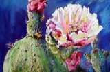 by Shirley Charlton