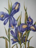 by Lisa Luchia Stocks