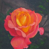 by Lucinda Troester