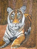 by Bhagvati Nath