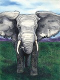 by Brazen Edwards