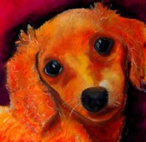 by Laura Grisham