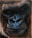 by Ryan Drake