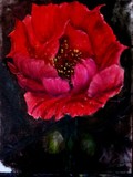 by John Tryon