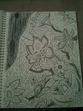 by Amanda Meade