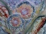 by Gudrun  Hreinsdottir 