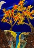 by Tammy Sheppard
