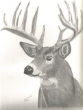 by Mike Sherman
