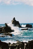 by Reef Upwelling