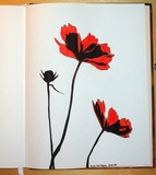 by Vicky Tico