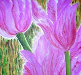 by Surekha  Rao
