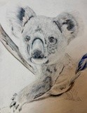 by Ariella Belau