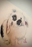 by Ariella Belau