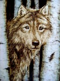 by Gayle Taylor