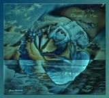 by Nira Dabush