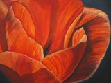 by Terry McClary