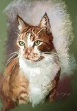 by Anne Kelty