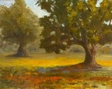 by Julieanne Hall