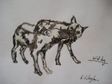 by katy fillingham