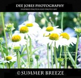 by DEE JOBES PHOTOGRAPHY