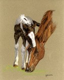 by Jennifer Redstreake