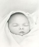 by Tracey  Riedel