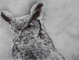 by Jo-Jo Kolodnicki, Jr.