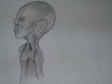 by Pia 
