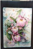 by Suni Godbold