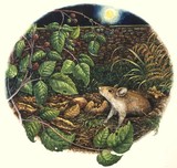 by Tricia Newell