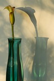 by Greg Summers
