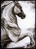 by Jessica  Kuhn