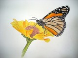 by Rebecca Langlois