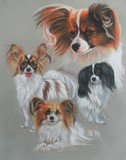 by Barbara Keith