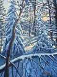 by Scott Niemi