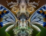 by TOMMY  BEAVER