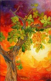 by Tatyana Shurtz