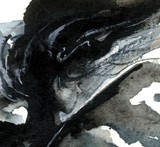 by Kathy Morton-Stanion