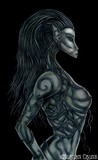 by Morgan Crone