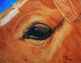 by d Mac'Carthy