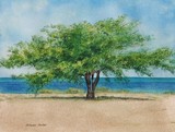 by Sharon Farber