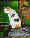 by Cara Bevan