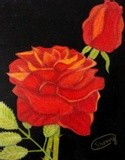 by Sherry Cornett