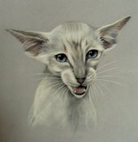 by Hazel Middlemas