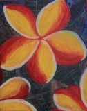 by Cindy Hunt