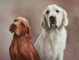 by Mark Whittaker