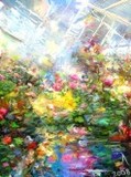 by Alexandr A