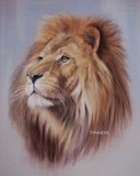 by Phil Strevens