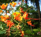 by Prashanth H J