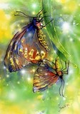 by Geraldine Simmons
